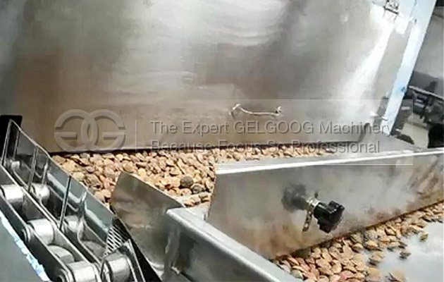 Continuous nuts roasting machine