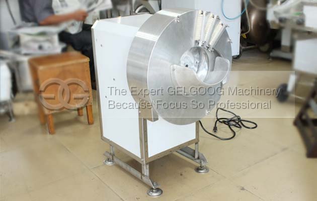 Ginger Cutting Machine|Ginger Slicering Machine|Ginger Shredding Machine
