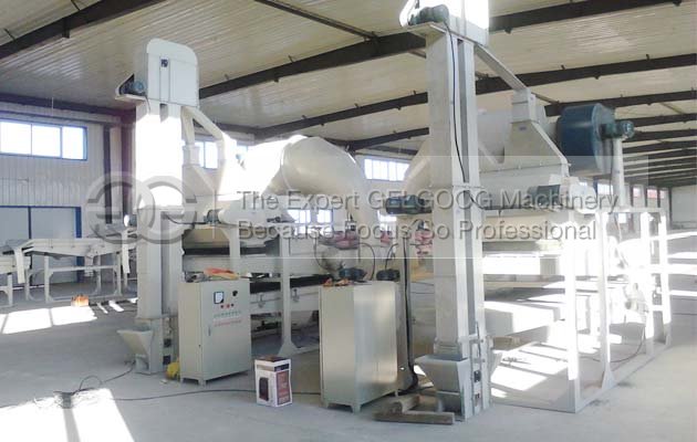 sunflower seeds sheeling machine