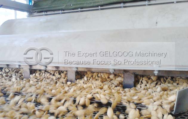 Sunflower Seed Hulling|Shelling|Deh-hulling Machine