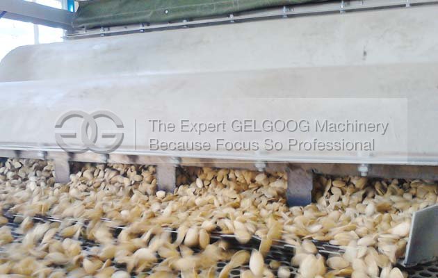 seeds hulling machine