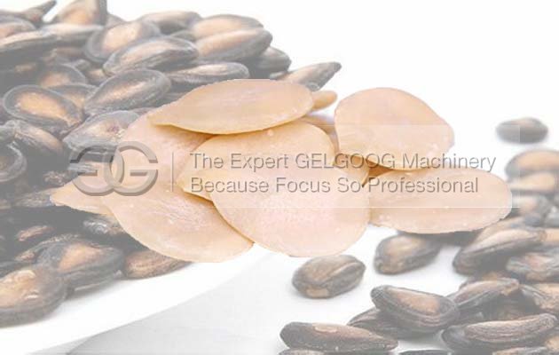 Melone Seeds Dehulling Machine