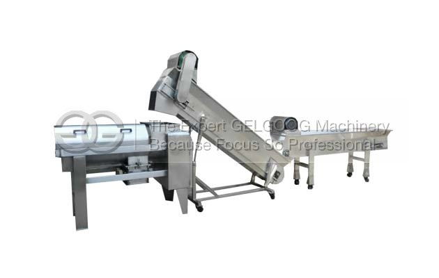 grape crusher and destemmer machine