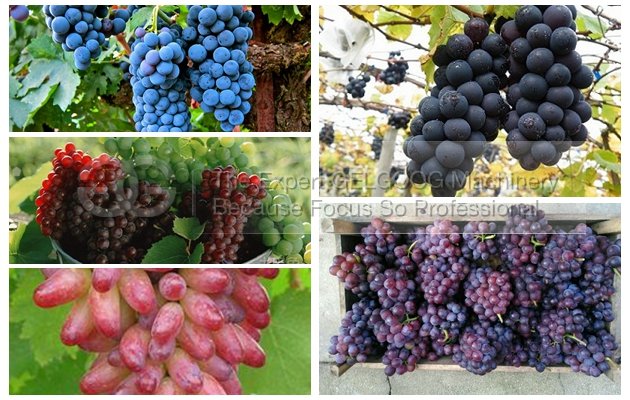 fresh grape destemming and bracking machine cost price