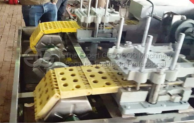 Automatic Date Pitting Machine|Date Kernel Removal Machine|Date Seeds Removal Machine