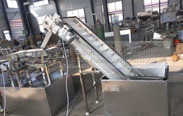 Quail Egg Peeling Machine|Quail Egg Process Line