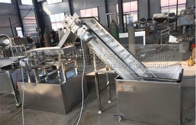 Quail Egg Peeling Machine|Quail Egg Process Line