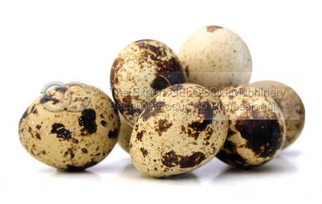 quail egg peeling machin for sale