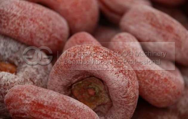 Dried Persimmon Processing Machine