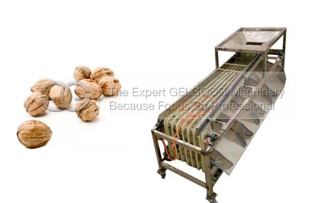 Multi Function Fruit Sorting Machine Manufacturers