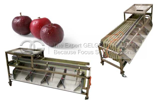 Multi Function Fruit Sorting Machine Manufacturers