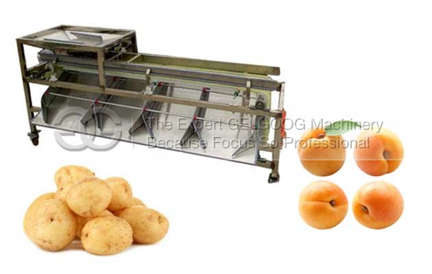 Multi Function Fruit Sorting Machine Manufacturers