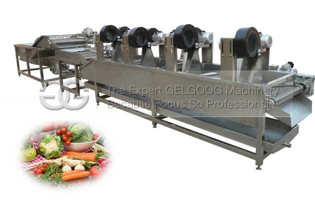 Fruit & Vegeatble Washing and Air Drying Machine