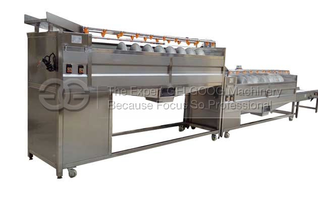 carrot washing and polishing machine