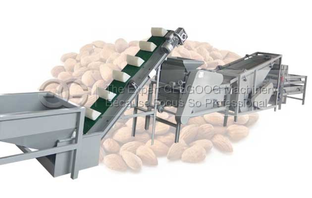 Almond Shelling and Separator Machine