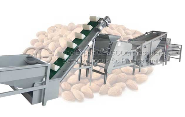 almond cracking machine price