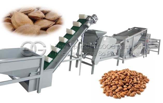 almond shelling and separating machine