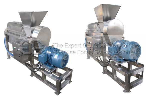 Double Helix Coconut Juicer Extractor Machine 