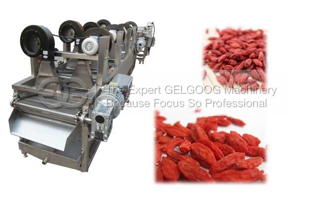 Automatic Dried Wolfberry Washing Machine|Wolfberry Cleaning and Drying Line