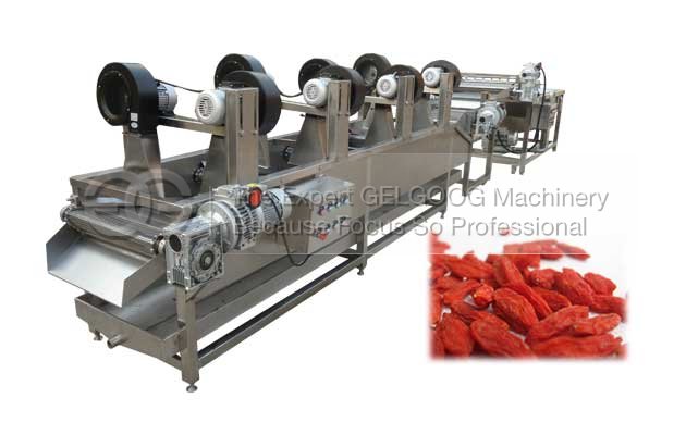 Automatic Dried Wolfberry Washing Machine|Wolfberry Cleaning and Drying Line