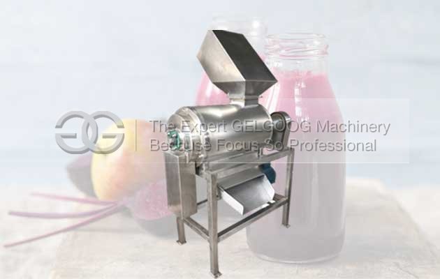 Fruit Vegetable Plup Machine for Mango,Lichi,Guava,Mixed Fruit