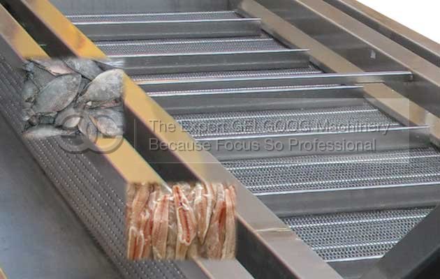 Fish Ice Glazing Machine|Frozen Fish Ice Coating Machine