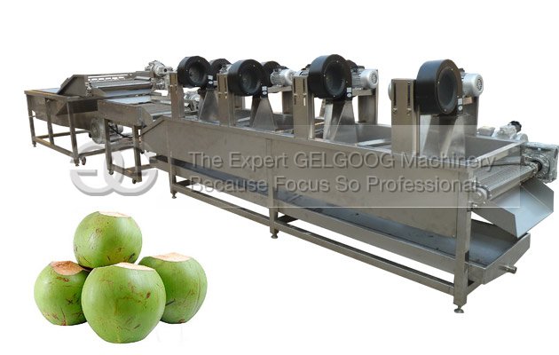 fruit washing machine for coconut