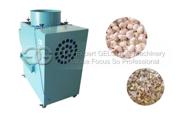 Garlic Separating Machine|Garlic Process Machine