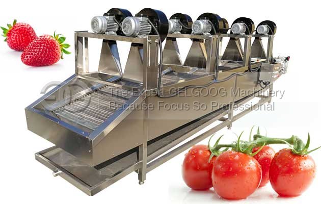 Fruit Vegetable Air Drying Machine Stainless steel 