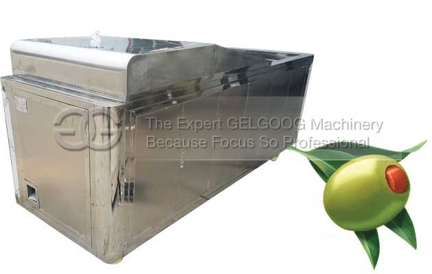 Olive Pitting Machine For Sale|Automatic Oliver Pitter For Commerical