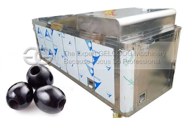 Olive Pitting Machine For Sale|Automatic Oliver Pitter For Commerical