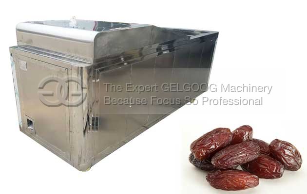 dates seed removing machine in india
