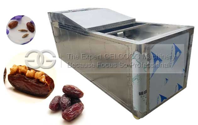 Saudi Arabia Iranian Dates Pitting Machine|Dates Seed Removing Machine