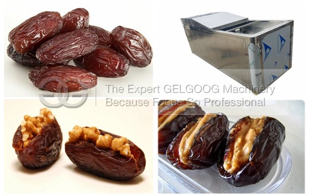 Saudi Arabia Iranian Dates Pitting Machine|Dates Seed Removing Machine