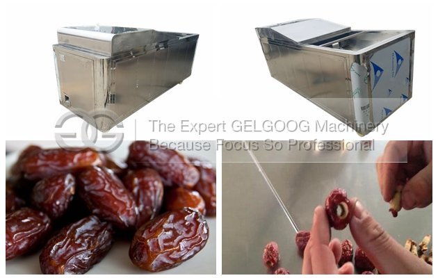 Saudi Arabia Iranian Dates Pitting Machine|Dates Seed Removing Machine