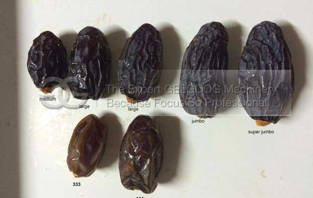 Date Washing Drying Machine Line|Date Palm Cleaner Line|Jujube Cleaning Line
