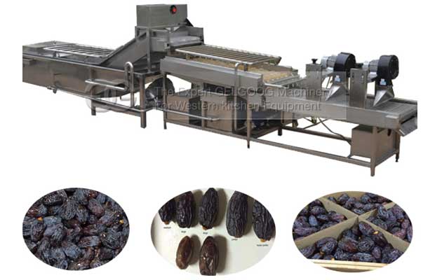 Date Washing Drying Machine Line|Date Palm Cleaner Line|Jujube Cleaning Line