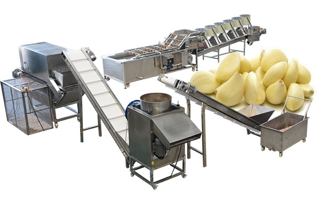 Fully Automatic Garlic Processing Plant