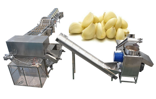 Garlic Peeling Processing Plant