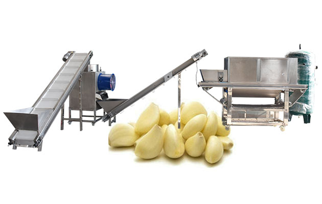 Automatic Garlic Peeling Production Line