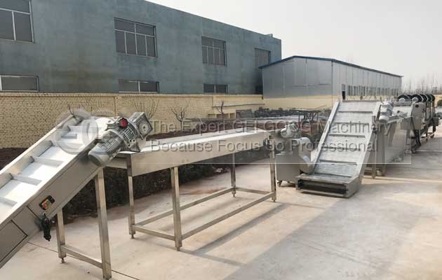 ginger washing and peeling machine price