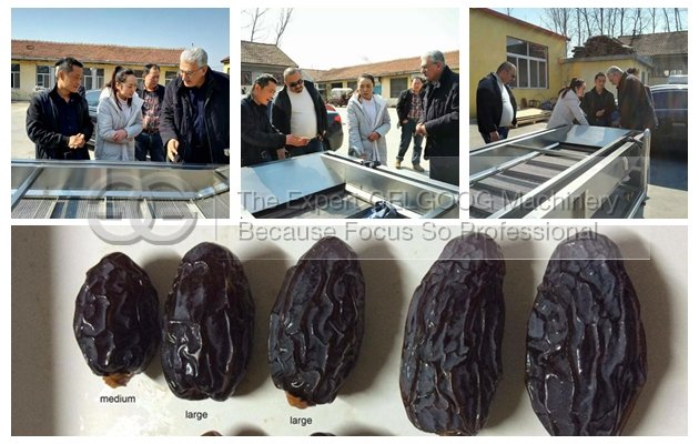 Date Washing Drying Machine Line|Date Palm Cleaner Line|Jujube Cleaning Line