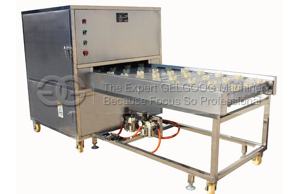 Commerical Garlic Root Cutting Machine (Concave Cutting Model) 
