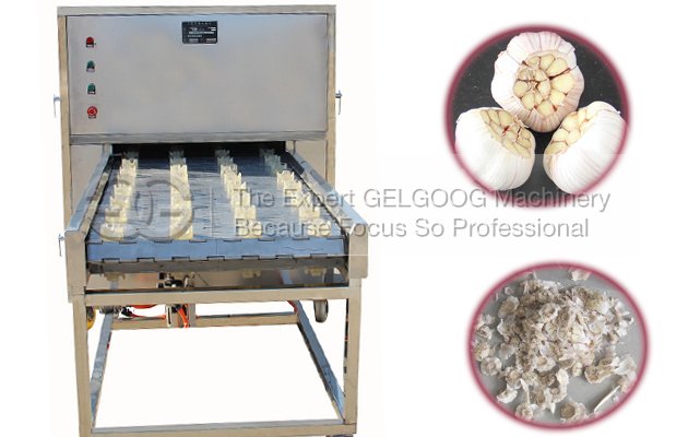 Commerical Garlic Root Cutting Machine (Concave Cutting Model) 