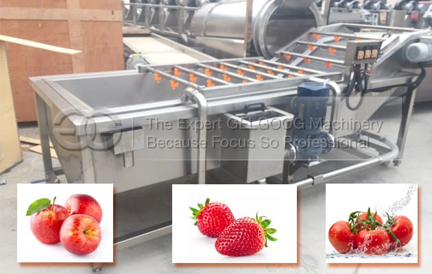 how to choose fruit vegetable washing machine