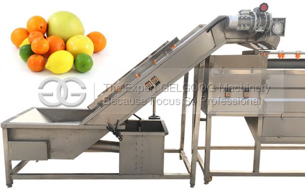 Automatic Citrus Fruit Washing Machine For Sale