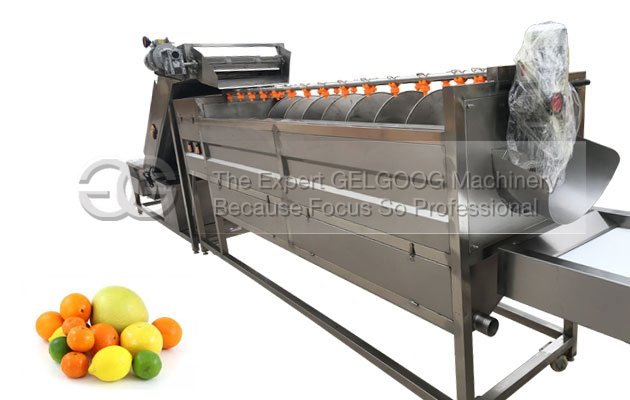 Automatic Citrus Fruit Washing Machine