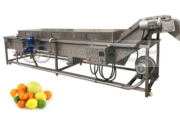 Automatic Citrus Fruit Washing Machine