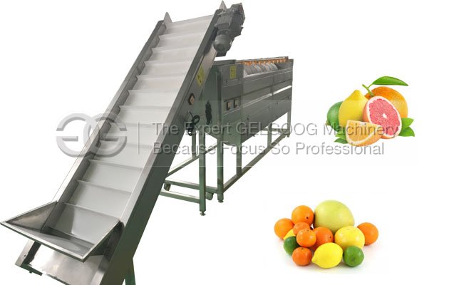 Automatic Citrus Fruit Washing Machine For Sale