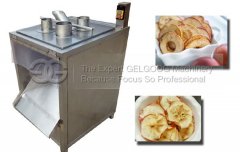Automatic cutting Apple Chips 